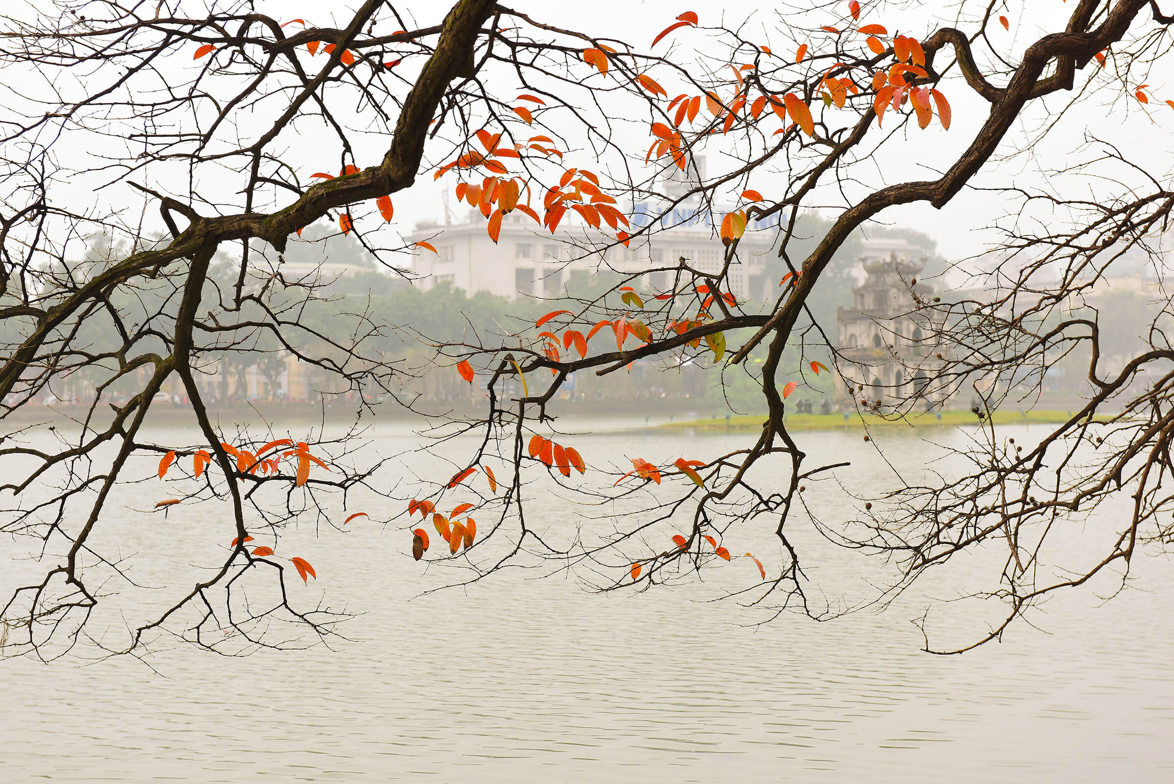 experience-the-poetry-of-autumn-in-hanoi-vietnam-tourism