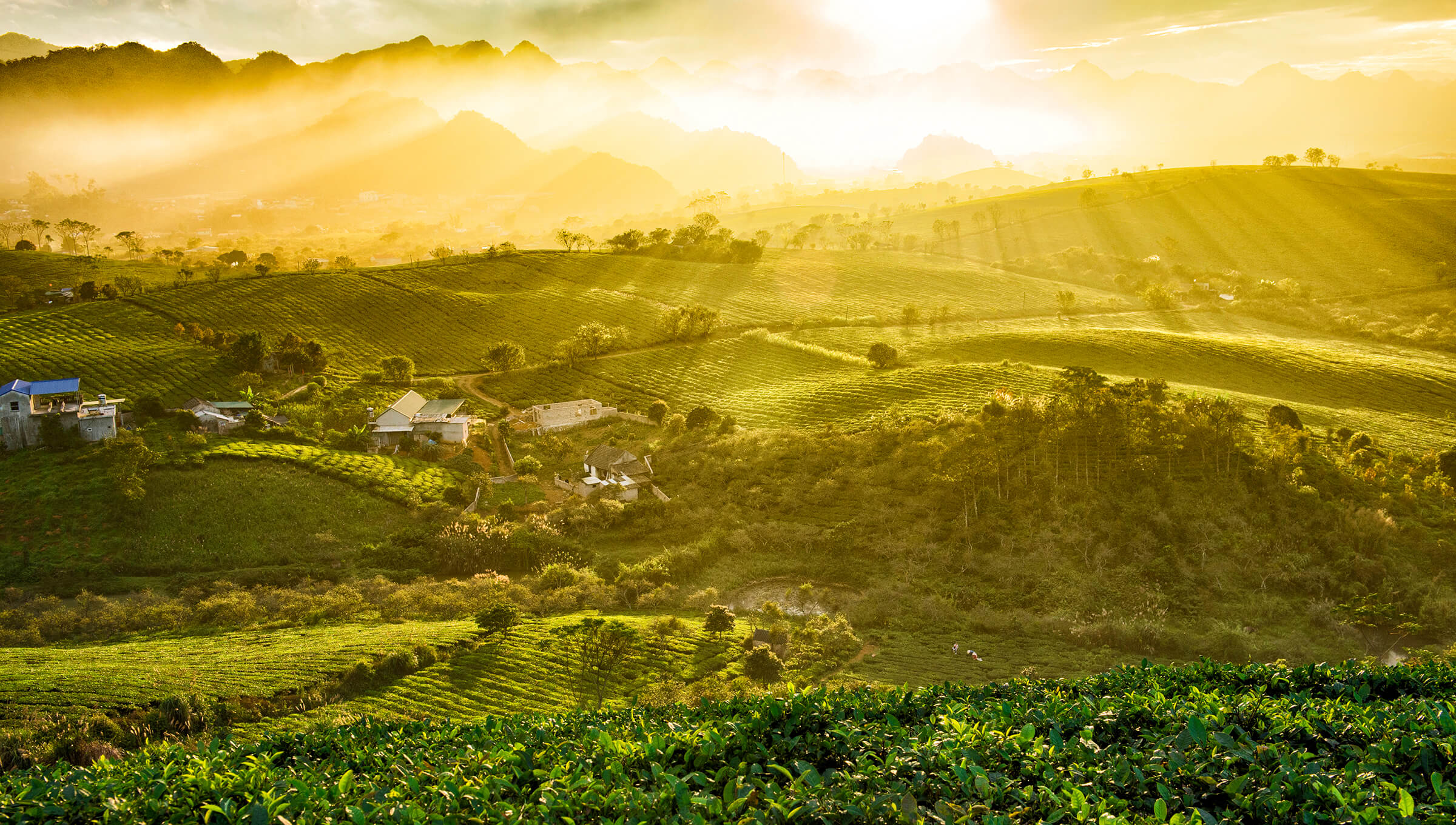 Why Moc Chau is every eco-traveller’s dream destination | Vietnam Tourism