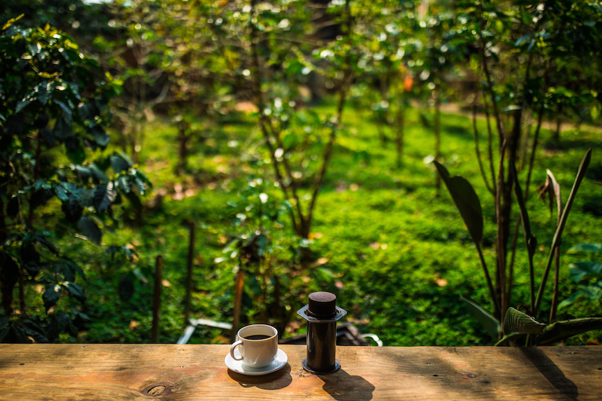 A tour for coffee lovers in Da Lat | Vietnam Tourism