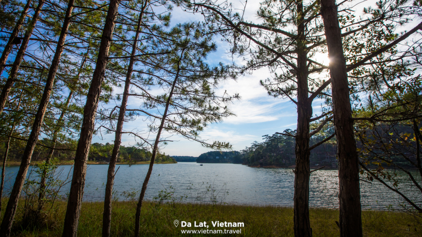 vietnam virtual background