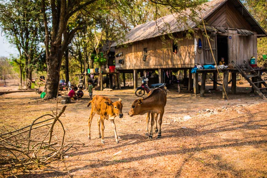 offbeat Vietnam