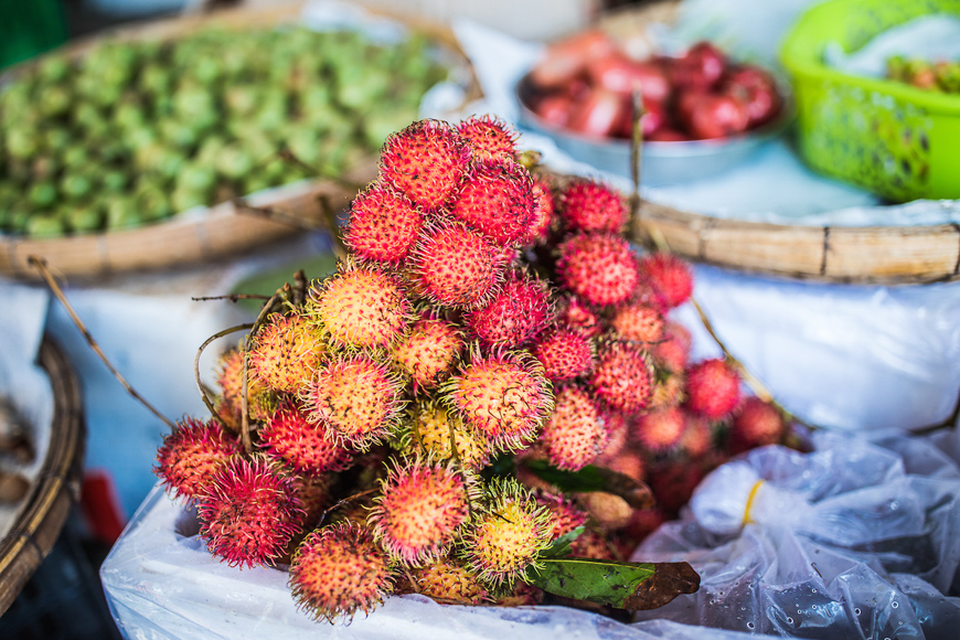 ベトナムの素晴らしい果物の13種 Vietnam Tourism