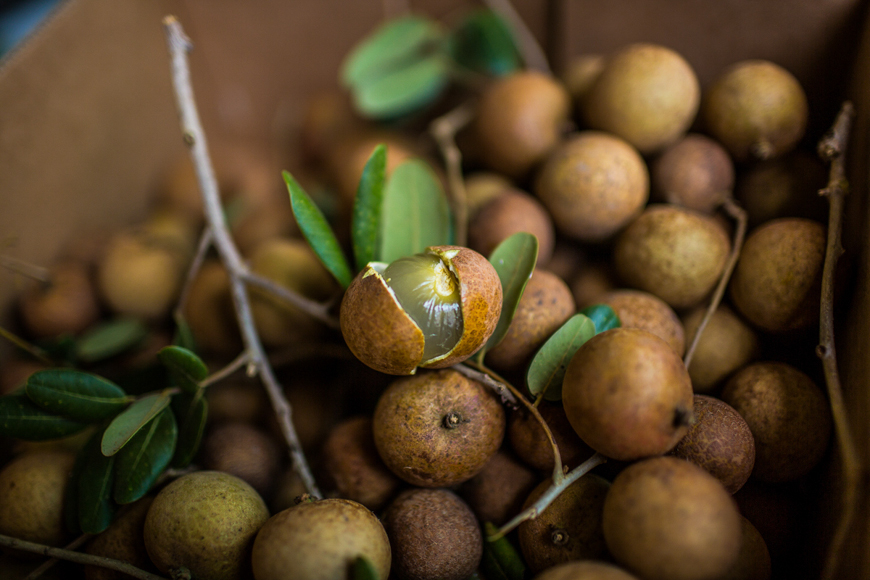 vietnamese fruit