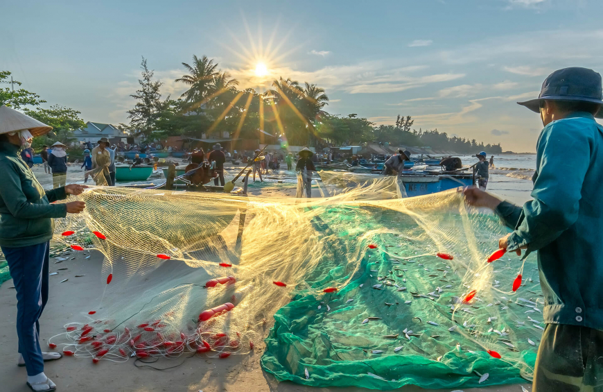 BINH THUAN, VIETNAM- JAN 22 Team Work Of Fisherman On Beach, Group