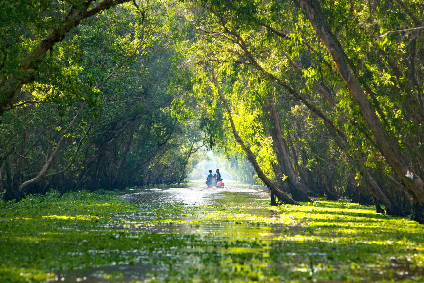 Admire the stunning scenery of the “Nine Dragons” rivers in Vietnam ...