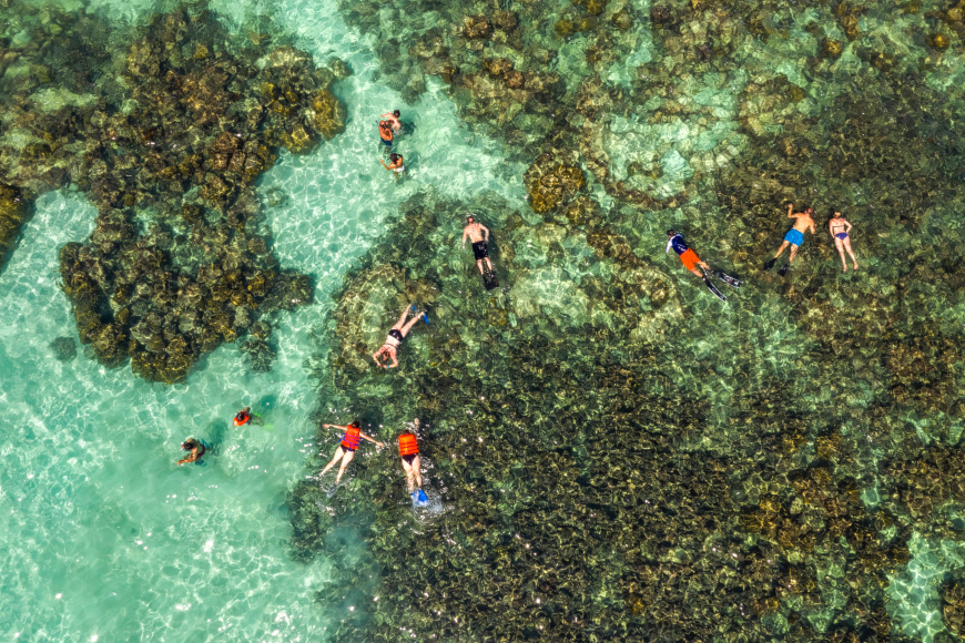 The UNESCO Biosphere Reserve protects a complex system of hard and soft coral reefs