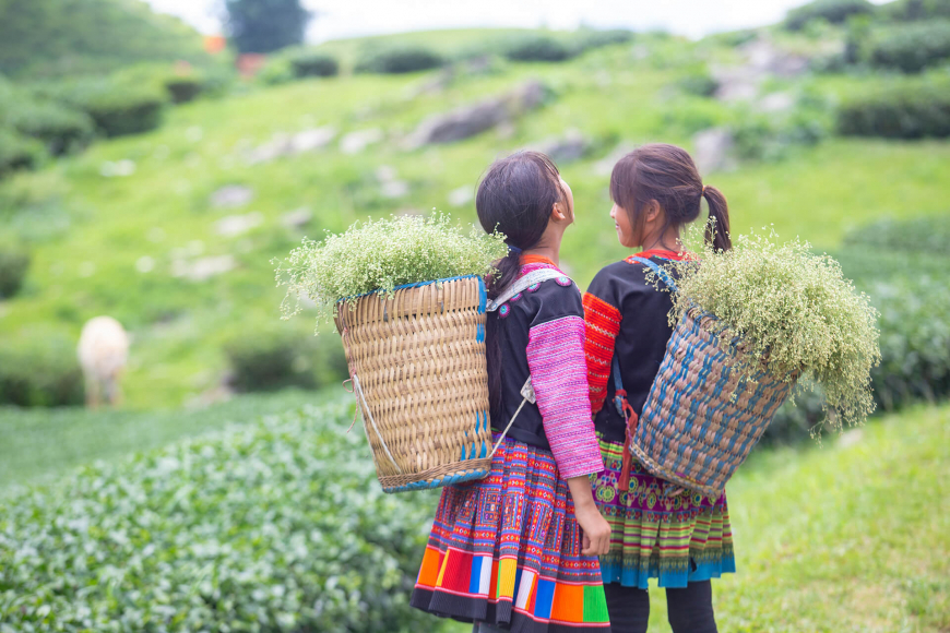 minority in Moc Chau