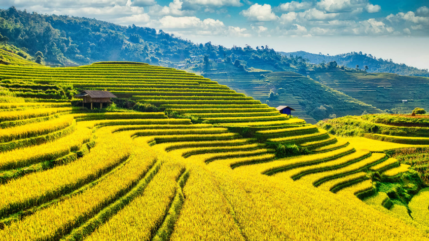 North Vietnam - Mu Cang Chai