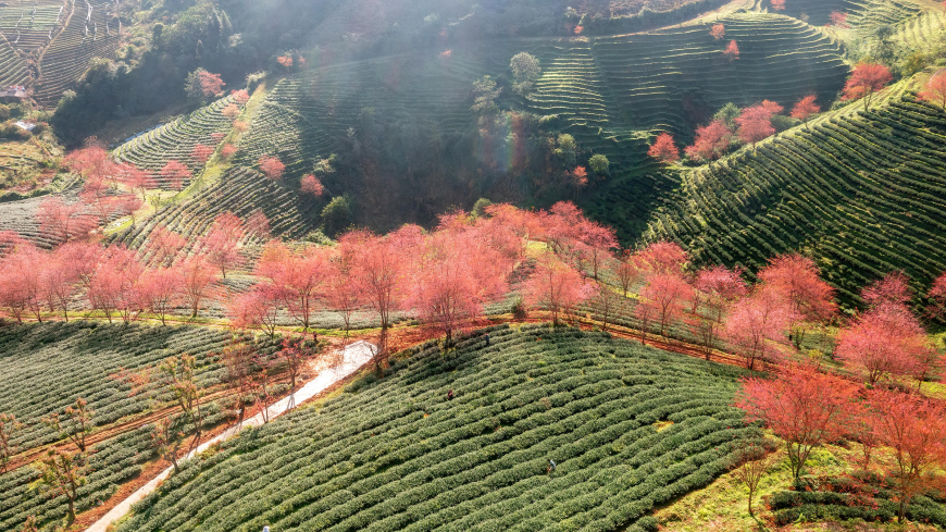 Vietnam - Scenery