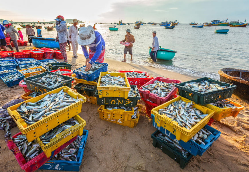 Mui Ne seafood