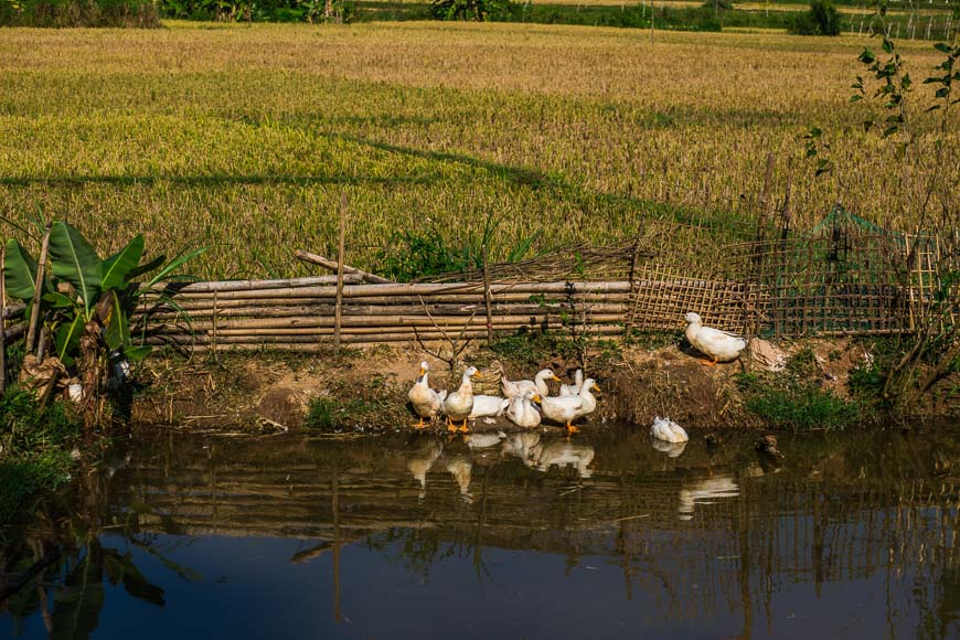 7 essential things to do in Mai Chau | Vietnam Tourism