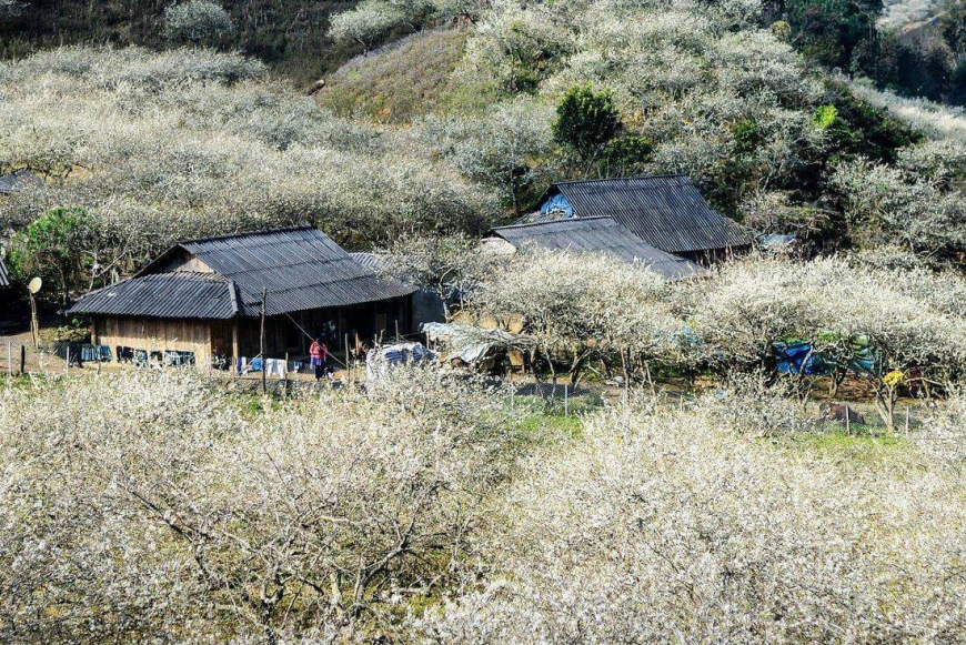 Ngoc Chien Village in Son La