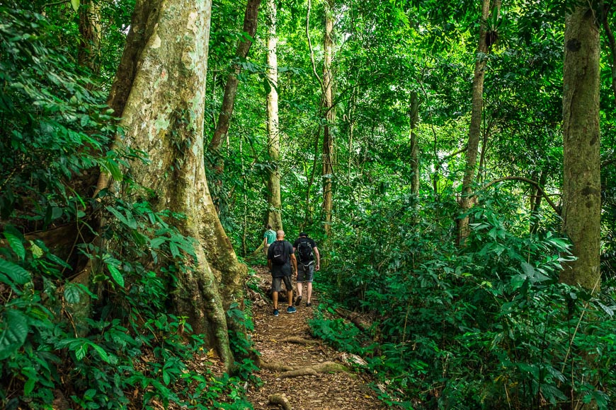 cuc phuong national park