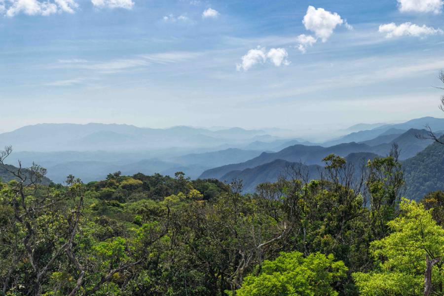 Dalat | Vietnam Tourism