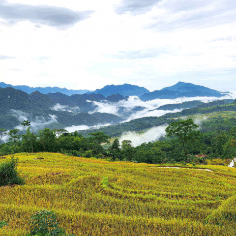 travel house vietnam