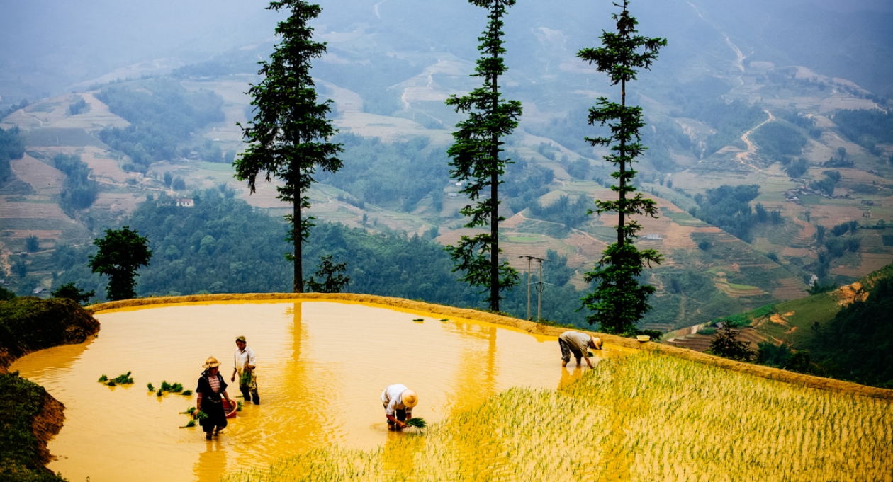 Sapa Vietnam Tourism