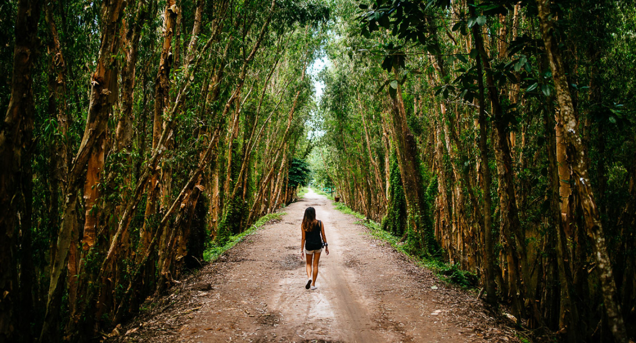 Cycling the Mekong Delta