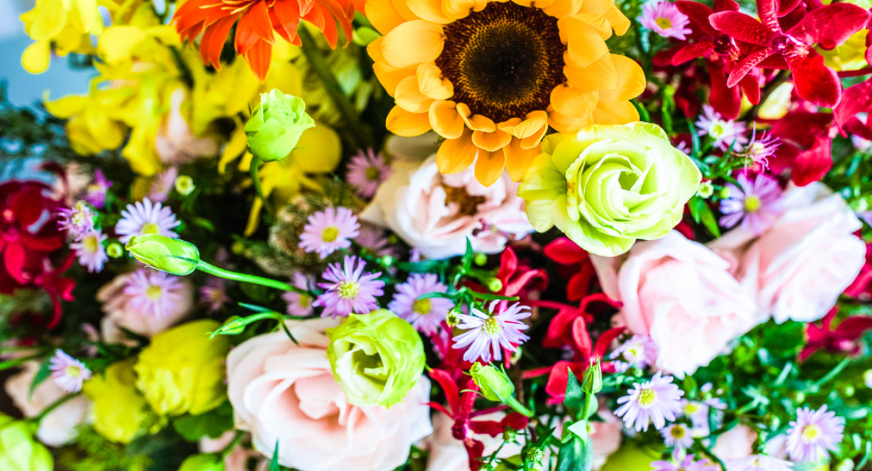 festival flowers