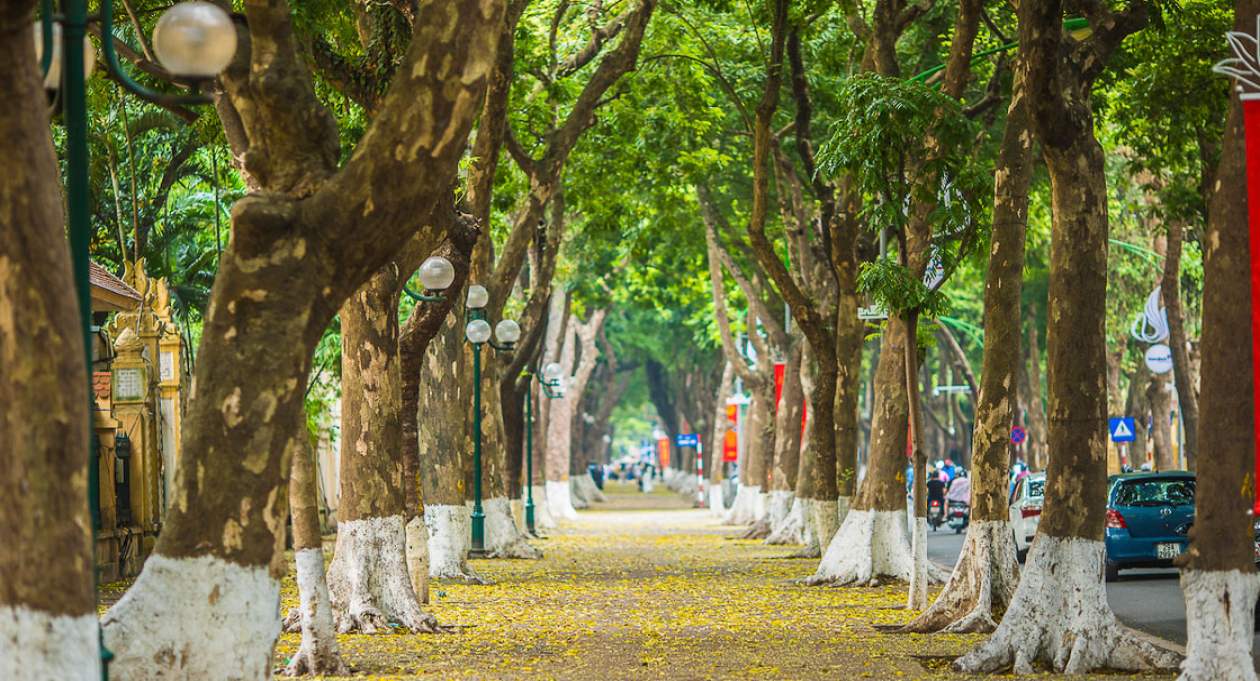 diy walking tour hanoi